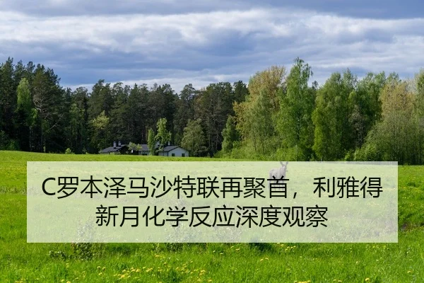 C罗本泽马沙特联再聚首，利雅得新月化学反应深度观察