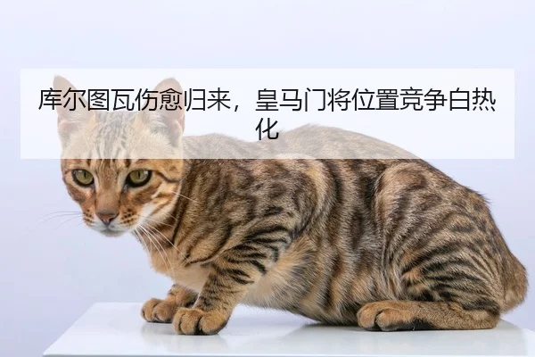 库尔图瓦伤愈归来，皇马门将位置竞争白热化