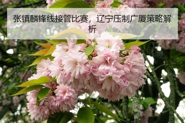 zhang-zhen-lin-feng-xian-jie-guan-bi-sai-liao-ning-ya-zhi-guang-sha-ce-lve-jie-xi-3-698.jpg
