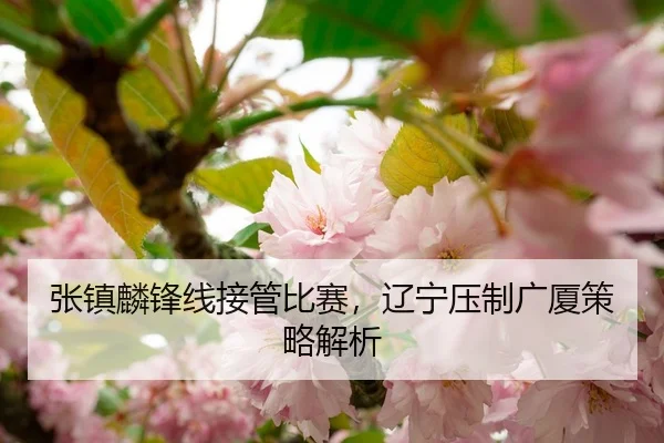 张镇麟锋线接管比赛，辽宁压制广厦策略解析